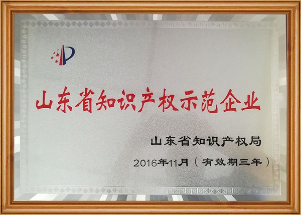 山東省知識(shí)產(chǎn)權(quán)示范企業(yè)